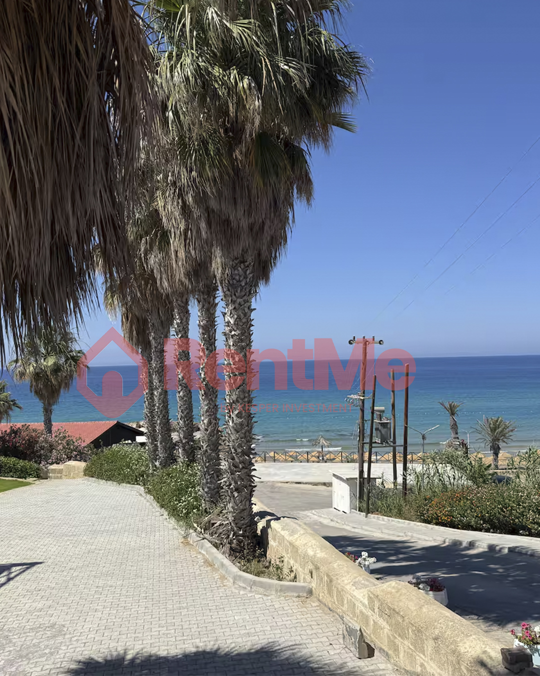 RentMe Daily - Image 9